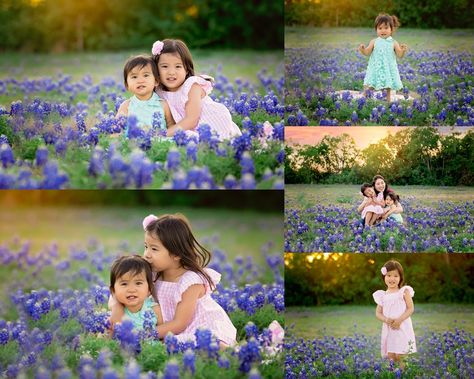 Family Bluebonnet Pictures, Blue Bonnet Photoshoot, Bonnet Pics, Spring Traditions, Bluebonnet Pictures, Spring Picture Ideas, Texas State Flower, Queen Photography, Blue Bonnet