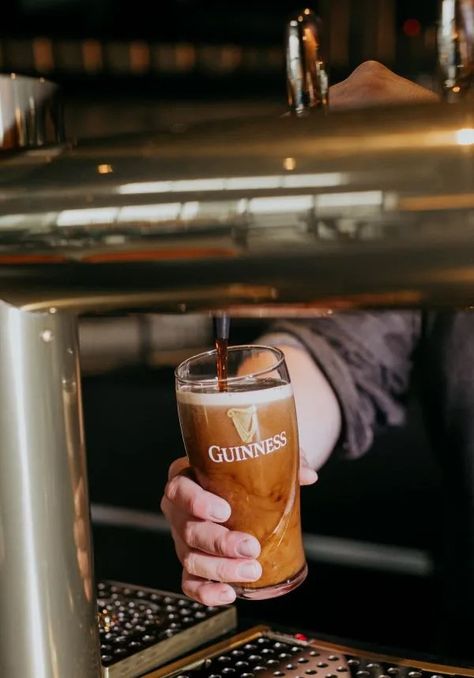 Guinness Open Gate Brewery Launches in Chicago | GreatBeerNow.com Guinness Aesthetic, Guinness Brewery, Grilled Brats, Fried Cheese Curds, Guinness Beef Stew, Guinness Draught, Guinness Beer, Beer Serving, Private Event Space