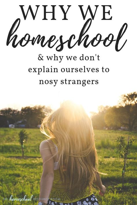 Why we homeschool... and why we don't explain ourselves to nosy strangers. A look into the pros and cons of homeschooling and coming to terms with what REALLY works for your family. Secular Homeschool, Homeschool Quotes, How To Homeschool, Travel Humor Quotes, Homeschool Hacks, Online Homeschool, Homeschool Education, Resource Room, Homeschool Inspiration