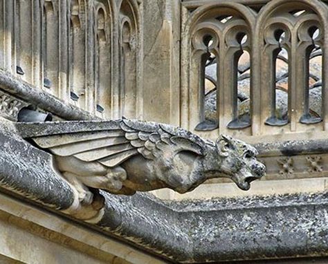 Winged gargoyle Gargoyles Art, Gothic Gargoyles, Illustration Reference, Gothic Buildings, Architectural Art, Floor Murals, Copper Roof, City Background, Gothic Architecture