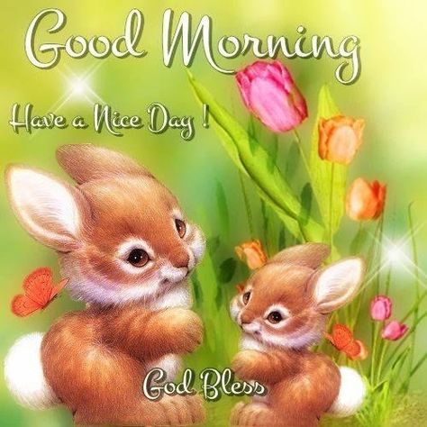 Good Morning Bunnies Pictures, Photos, and Images for Facebook, Tumblr, Pinterest, and Twitter Good Morning Happy Easter, Happy Easter Quotes, Good Evening Greetings, Cute Good Morning Images, Easter Quotes, Day Pictures, Funny Good Morning Quotes, Morning Morning, Morning Thoughts