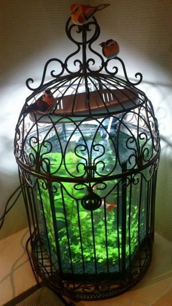 Useful Tips for Successful Interior Decorating with Aquariums Tiny Fish Aquarium, Creative Aquarium Ideas, Fish Inside A Birdcage, Antique Aquarium, Tiny Aquarium, Bettafish Aquarium, Amazing Aquariums, Cool Fish Tanks, Tropical Fish Tanks