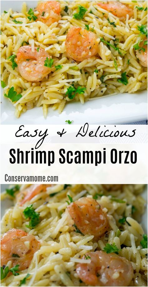 This Easy and Delicious Shrimp Scampi Orzo will be a huge hit at any meal. Check out how tasty this recipe can be! Baked Shrimp Recipes, Easy Shrimp Scampi, Shrimp Scampi Recipe, Orzo Recipes, Scampi Recipe, Shrimp Dinner, Shrimp Recipes Easy, Shrimp Dishes, Shrimp Scampi