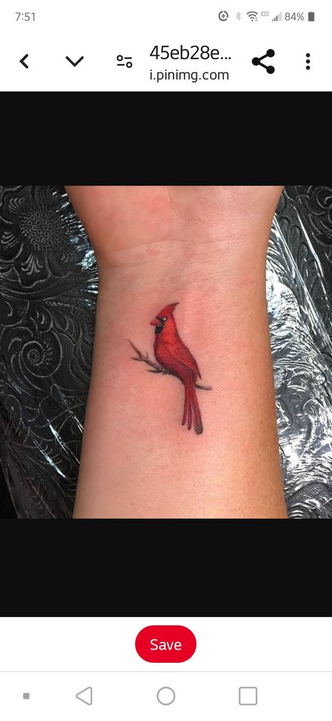 Cardinal Wings Tattoo, Red Bird Tattoos For Women, Small Cardinal Tattoos For Women, Small Cardinal Tattoo, Blue Jay Tattoo, Bird Shoulder Tattoos, Red Bird Tattoos, Cardinal Tattoo, Bird Tattoos For Women