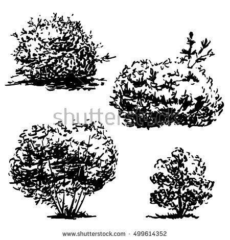 Shrubbery Drawing, Bush Drawing Pencil, Impossible Drawings, Bush Reference, Bushes Drawing, Bush Sketch, Bush Illustration, Bush Drawing, Grass Drawing