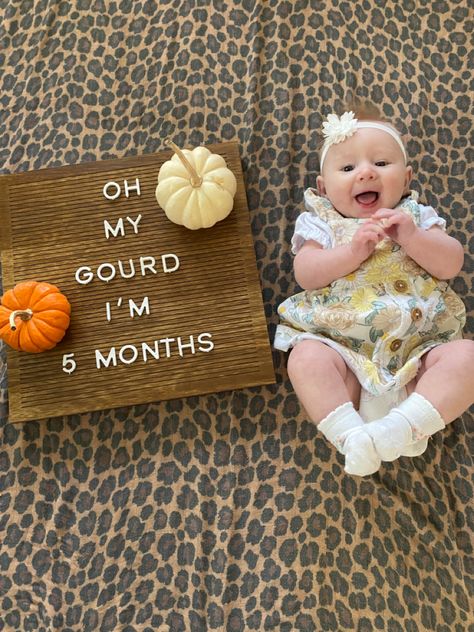 7 Month Milestone Picture Ideas, October Milestone Baby Pictures, 7 Month Letter Board Ideas, 2 Month Letter Board Ideas, 10 Month Old Milestones Photo Ideas, 5 Month Letterboard Ideas, 5 Month Old Milestones Photo Ideas, October Milestone Picture Ideas, Halloween Monthly Baby Pictures