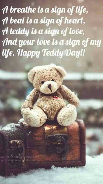 Teddy Day Quotes, Valentines Quotes For Him, Happy Teddy Bear Day, Happy Teddy Day, Happy Teddy Day Images, Teddy Day Images, Teddy Bear Quotes, Husband Birthday Quotes, Valentines Day Quotes For Him