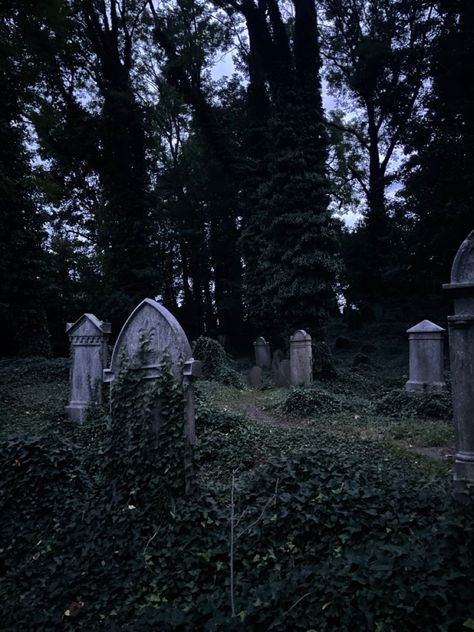 #cemetery #old #history #urbex #abandoned #abandonedplace Urbex Aesthetic, Jess Core, Abandoned Cemetery, Abandoned Aesthetic, Jewish Cemetery, Goth Core, Church Aesthetic, Abandoned Church, Film Studies