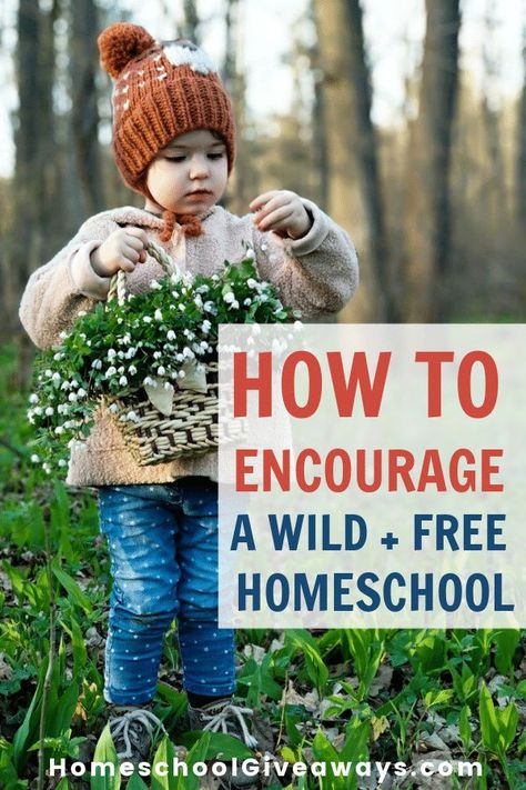 Do you want to keep the wonder in childhood? Embrace playtime and curiosity, nature and story? Maybe you want to trust your gut as a mother, even if all the experts are telling you otherwise. If this resonates with you, then you’ll want to learn how to encourage a wild + free learning environment in your homeschool. Wild + Free Homeschool, Wild And Free Homeschool, Family Read Alouds, Teaching Degree, Nature School, Homeschool Education, Study Ideas, Trust Your Gut, Call Of The Wild