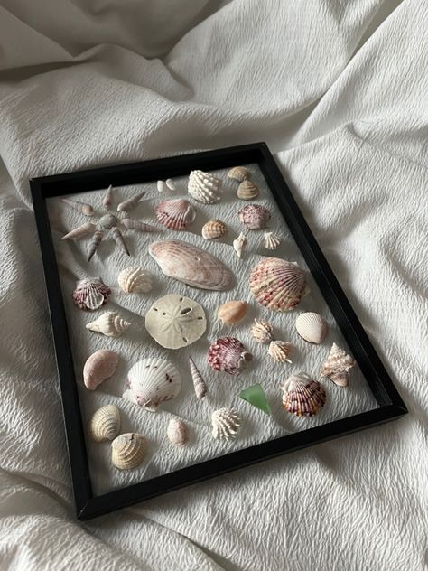 sand dollar, sea glass, and seashell assorted picture frame diy project inspo Sanding Picture Frames, Sand Dollar Pictures, Seashells Picture Frame, Shells In Frames Wall Art Diy, Seashell Frame Ideas, Sea Glass Picture Frame, Shell Picture Frame Diy, How To Display Seashells, Sand Dollar Display