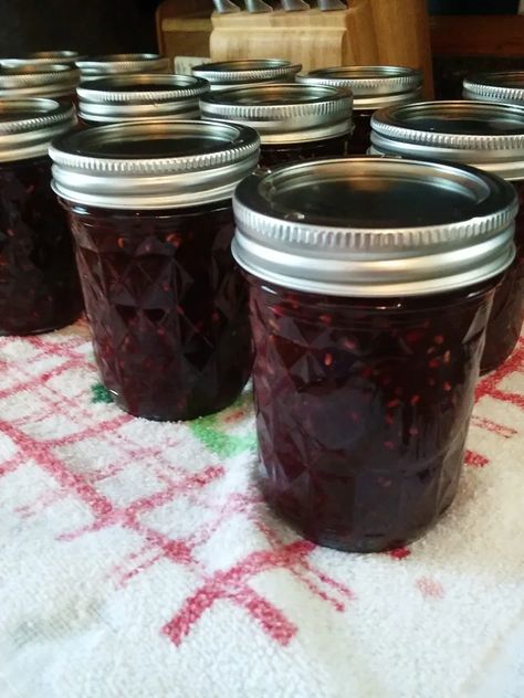 Raspberry Sauce Recipe, Chocolate Syrup Recipes, Raspberry Jam Recipe, Easy Canning, Home Canning Recipes, Canning Jam, Raspberry Preserves, Bistro Food, Raspberry Chocolate