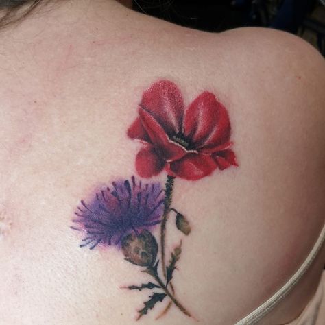 Poppy And Thistle Tattoo, Scottish Thistle Tattoo, Thistle Tattoo, Poppy Tattoo, Poppies Tattoo, Scottish Thistle, Flower Art Painting, My Heritage, Maple Leaf Tattoo