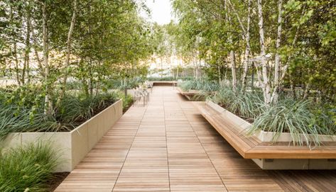 Public Space Landscape Design, Campus Landscape, Urban Landscape Design, Landscape Architecture Design, Urban Furniture, Architecture Design Concept, Rooftop Garden, Street Furniture, Urban Spaces