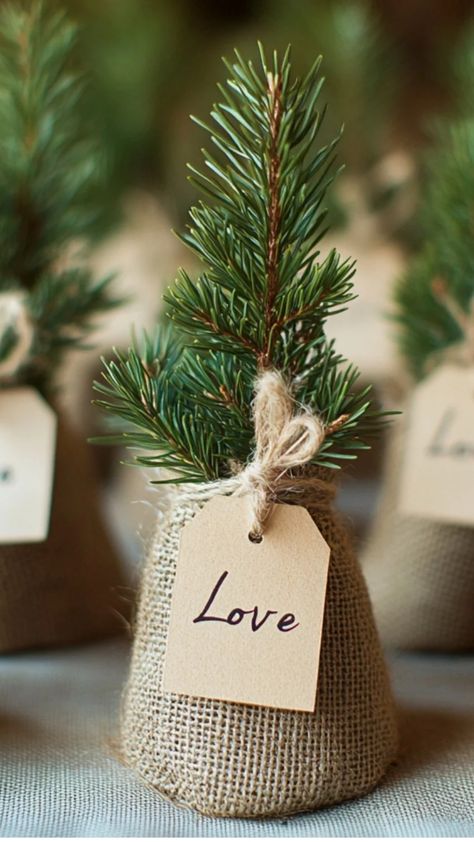 Mini pine tree saplings in rustic burlap bags with "Let love grow" tags, perfect for winter wedding favors. Tree Sapling Wedding Favor, Potted Plant Wedding Favors, Christmas Rustic Wedding, Woodsy Wedding Favors, Pine Tree Wedding Decor, Wedding Favor Ideas For Guests, Tree Wedding Favors, Tree Favors, Plant Wedding Favors