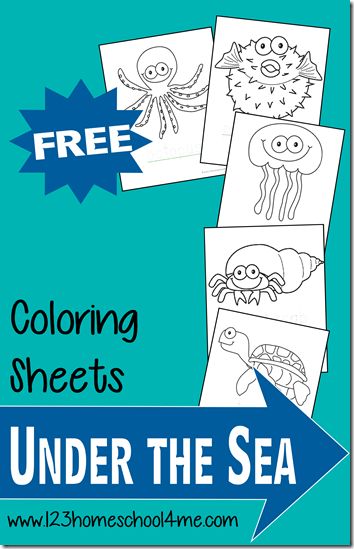 FREE Ocean Fish Coloring Pages - These are super cute coloring sheets perfect for Toddler, Preschool, Kindergarten, and more! Under The Sea Coloring, Ocean Theme Preschool, Under The Sea Crafts, Fish Coloring, Animals Coloring Pages, Ocean Unit, Fish Coloring Page, Ocean Activities, Summer Preschool