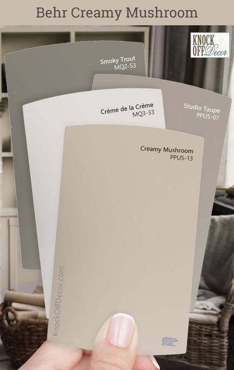 Behr Creamy Mushroom Review + My 30 Favorite Coordinating Color Palettes Check more at https://creativedecordesign.com/2024/06/28/behr-creamy-mushroom-review-my-30-favorite-coordinating-color-palettes/ Maybe Mushroom Paint Color, Creamy Grey Paint Colors Behr, Light Taupe Color Palette, Coordinating Interior Paint Colors, White Taupe Paint Color, Parisian Taupe Behr, Taupe Color Palettes Kitchen, Behr Neutral Pink Paint Colors, Mushroom Trim Color