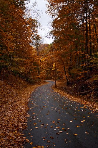 Winding Country Road in Fall | Flickr - Photo Sharing! Gif Card, Skaneateles Lake, Autumn Scenes, Autumn Scenery, Autumn Beauty, Fall Pictures, Autumn Aesthetic, Fall Wallpaper, Ely