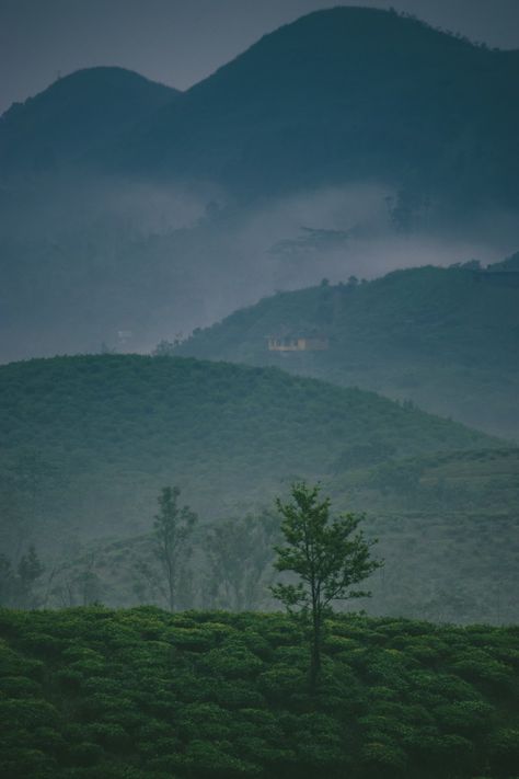 Vagamon Photography, Vagamon Kerala, Train Tracks Photography, Mountain Holiday, Kerala Travel, Photo Graphy, India Travel Guide, Beautiful Scenery Photography, Wake Up Early