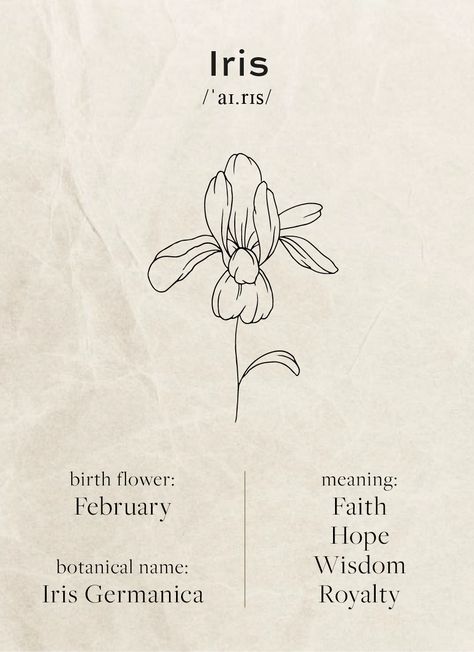 Bloomcore Aesthetic, Talking Flowers, Victorian Language, Rose Color Meanings, Flower Stationary, Floral Photos, Tattoo Family, Flower Language, Aquarius Tattoo