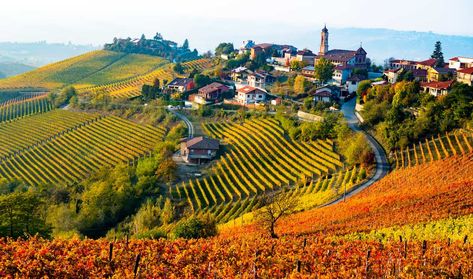 Italy in October: Where to Go - MORE TIME TO TRAVEL French Country Wallpaper, Italy Villages, Countryside Wallpaper, Italy In October, Italy October, Rocks Painting, Italian Wines, Italian Village, Countryside Landscape