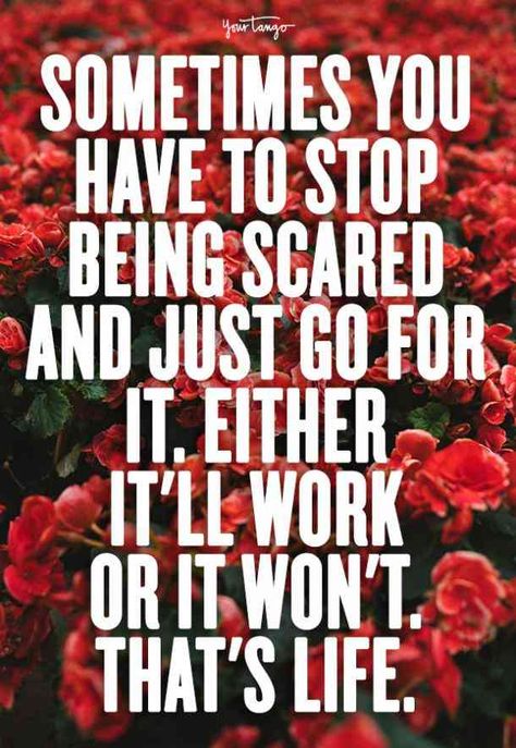 "Sometimes you have to stop being scared and just go for it. Either it'll work or it won't. That's life." — Unknown#lovequotes #iloveyou #iloveyouquotes #romanticquotes Follow us on Pinterest: www.pinterest.com/YourTango Talk To Your Crush, Love Is Scary, Perfect Love Quotes, Most Romantic Quotes, Love You Meme, Even When It Hurts, Today Horoscope, Four Letter Words, Valentine Quotes