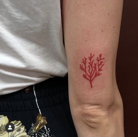 Coral Tattoo Color, Small Coral Tattoo, Corals Tattoos, Coral Tattoo Simple, Sea Coral Tattoo, Seaweed Tattoo Design, Algae Tattoo, Coral Tattoos, Matching Ocean Tattoos