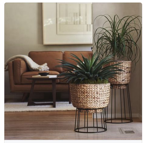 Decor Ideas Bedroom, Basket Planters, Plant Decor Indoor, Deco Boheme, House Plants Decor, Home Decor Living Room, Decor Home Living Room, Decor Minimalist, Decor Living Room