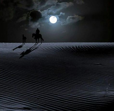 Desert inmoonlight Shoot The Moon, Moon Rise, Beautiful Moon, Arabian Nights, Ponies, Stars And Moon, Full Moon, Night Skies, The Moon