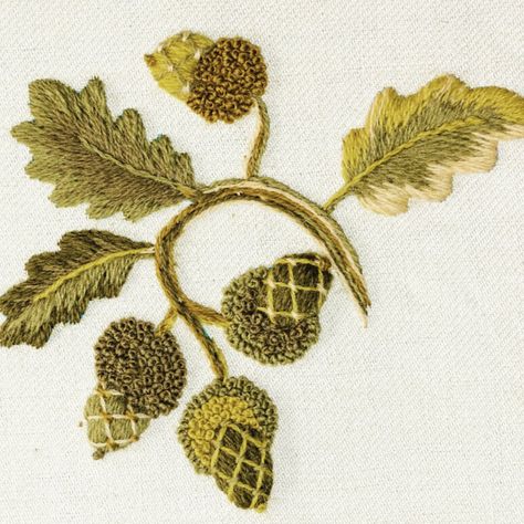 The Crewel Work Company | If you’ve been following our newsletter lately you’ll know that tomorrow is the day that pre-ordered Elizabethan Acorn kits finally be… | Instagram English Oak Tree, Hardwick Hall, Scissors Design, Needlecraft Kits, Acorn And Oak, Feather Stitch, Crewel Embroidery Kits, English Design, French Knot