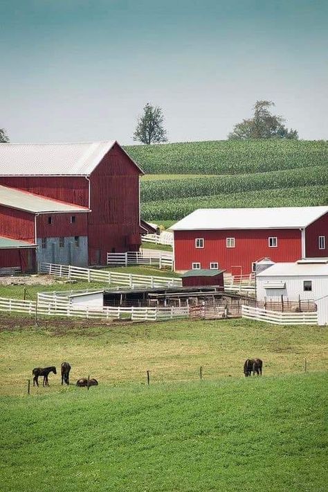 Old Farm Photography, American Countryside Aesthetic, Midwestern Aesthetic, Apple Tree Farm, Farm View, Farm Landscaping, American Countryside, Farm Town, Amish Farm