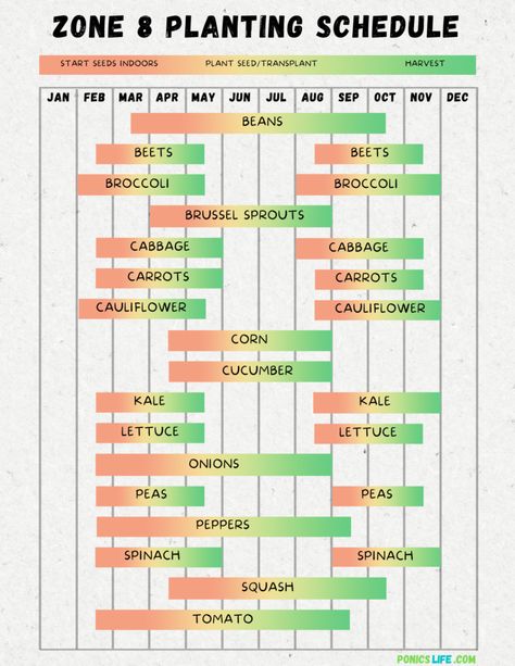 Zone 8 Planting Schedule, Fruit Planting, Broccoli And Brussel Sprouts, Planting Schedule, Plant Hardiness Zone Map, Productive Garden, Planting Calendar, Urban Heat Island, Garden Calendar