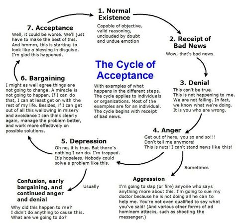 Cycle of Acceptance                                                                                                                                                                                 More Therapy Topics, Counseling Worksheets, Schindler's List, Radical Acceptance, Therapy Counseling, Counseling Resources, Health Journal, Therapy Worksheets, Group Therapy