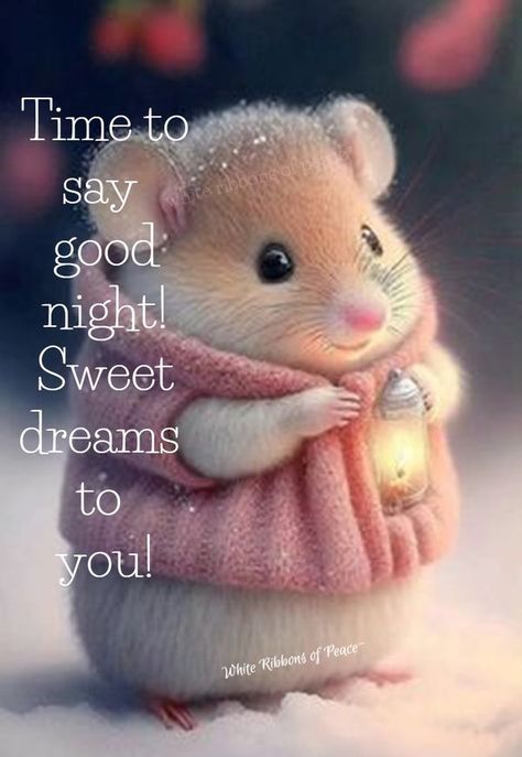 Sweet Dreams Good Night Gif, Good Night My Dear Friend, White Ribbons Of Peace, Good Night Meme, Good Night Love You, Cute Good Night Quotes, Goodnight Images, Good Night Blessings Quotes, Funny Good Night Quotes