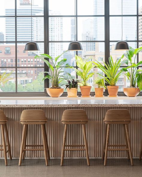 Muuto on Instagram: “Dreamy counter settings of our Chicago showroom, featuring the Nerd Bar Stool and Ambit Pendant Lamp. #muuto #newperspectives…” Modern Kitchen Stools, Modern Scandinavian Kitchen, Scandinavian Bar Stool, Furniture Architecture, Wooden Bar Stools, Scandinavian Kitchen, Scandinavian Living, Stool Design, Modern Scandinavian