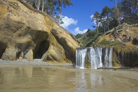 Discover a beautiful hidden waterfall on this spectacular, little-known beach in Oregon. Oregon Coast Hikes, Pnw Adventures, Beach Waterfall, Oregon Trip, Oregon Life, Oregon Hikes, Explore Oregon, Oregon Vacation, Beautiful Oregon