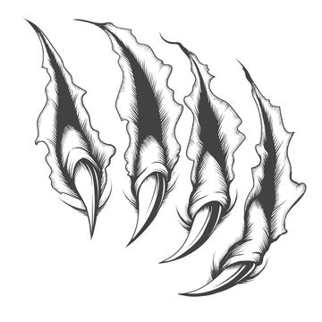 Monster Claws, Scratch Tattoo, Bear Claw Tattoo, Claw Tattoo, Tattoo Png, Monster Sketch, Film Thriller, Engraving Tattoo, Mark Tattoo