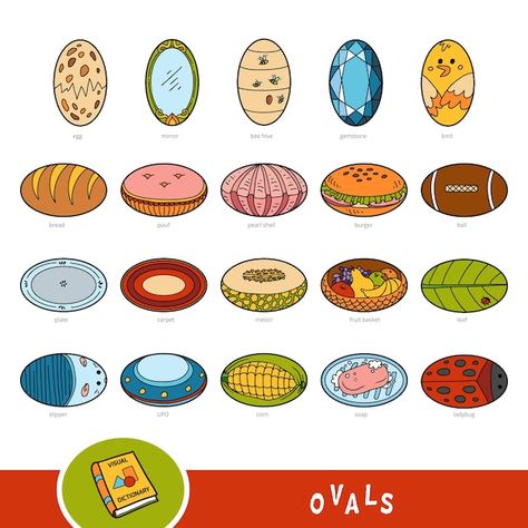 Oval Objects, Visual Dictionary, Plant Science, Social Media Design Graphics, School Crafts, Small Designs, Royalty Free Photos, Free Vector Images, Oval Shape