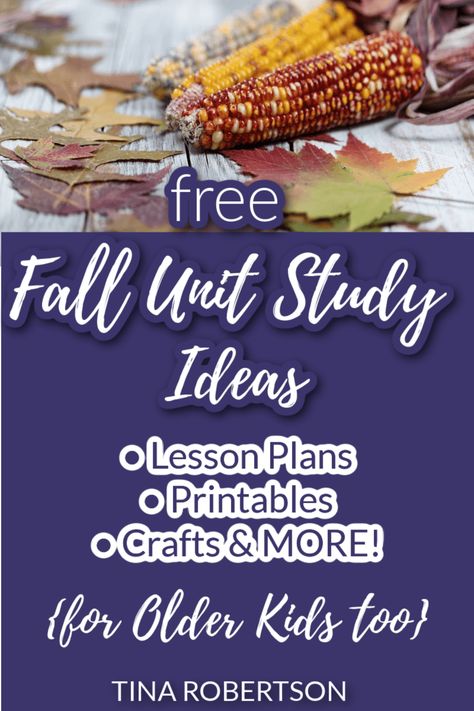 Kindergarten Fall Unit Studies, Fall Unit Study Kindergarten, Homeschool Fall Ideas, Explorer Unit Study, Fall Unit Kindergarten, Free Fall Unit Study, Homeschool Apple Unit Study, Fall Unit Study Homeschool Free, Free Fall Homeschool Printables