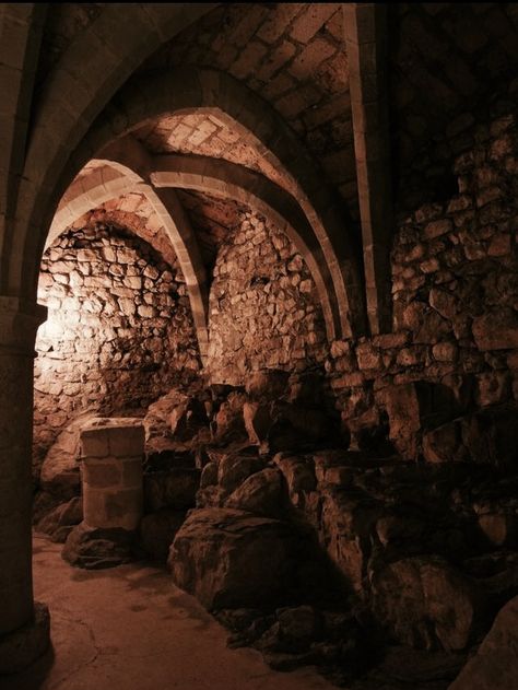 Underground Castle, Medieval Dungeon, Castle Switzerland, Castle Dungeon, Chillon Castle, Secret Tunnel, Chateau Medieval, Castles Interior, Medieval World