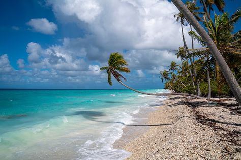 Discover Fakarava, an atoll in the Tuamotus Islands of French Polynesia, with our guide to where to stay and what to do. Marquesas Islands, Coral Garden, Easter Island, Plant Species, French Polynesia, Archipelago, Pacific Ocean, Tahiti, Natural Wonders