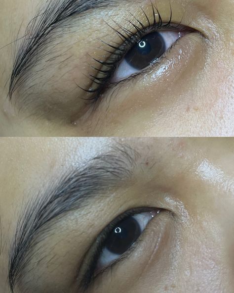 Crazy lash curl and tint transformation, on straight lashes! Lasting 6-8 weeks 🤩 . . . #thelashshop #lashes #lashartist #mississaugalashes #lashlifting #lashgoals . . . @thelashshop.ca Straight Lashes, Lash Artist, 8 Weeks, Lashes, Quick Saves