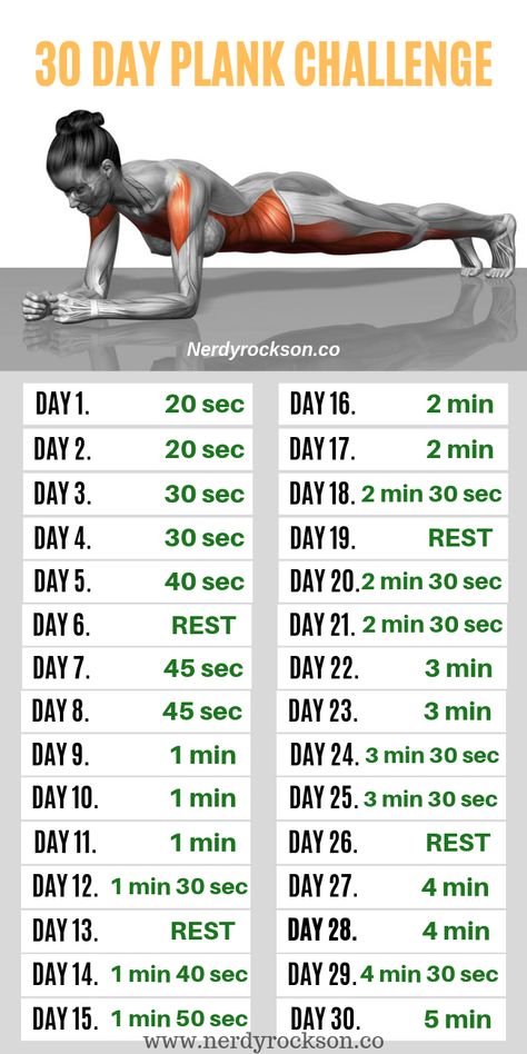 Daily Ab Workout, Plank Exercise, Simple Workout, 30 Day Plank, 30 Day Plank Challenge, Bolesti Chrbta, Beginner Workouts, Full Body Workouts, Month Workout