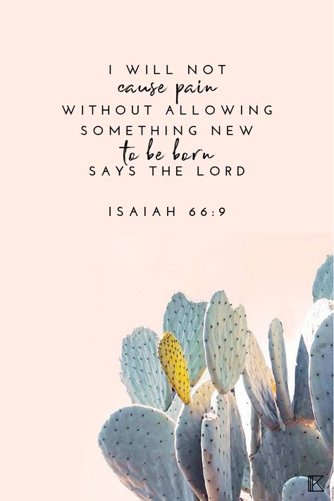 Bible Healing Quotes, Life Verse Inspiration, Isaiah 66:9, Gods Promises Verses Scriptures, Philippians Scripture, Scripture Quotes Encouraging, Christian Recovery, Quotes Scriptures, Inspirational Scripture Quotes