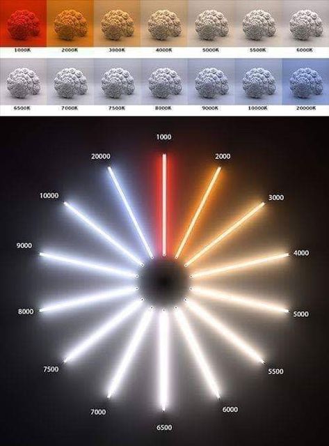 Colour Temperature Lighting, Blender Lighting, Strip Lighting Ideas, Vray Tutorials, Arnold Render, 3ds Max Tutorials, Blender Tutorial, Lighting Concepts, Deco Luminaire