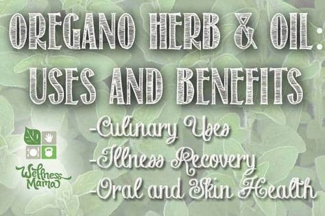 Herbalist Witch, Oregano Tea, Herb Benefits, Oregano Oil Benefits, Oregano Essential Oil, Thyme Essential Oil, Wellness Mama, Mama Natural, Oregano Oil