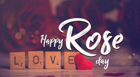 Birthday Wish For Boyfriend Romantic, Happy Rose Day Wallpaper, Rose Day Pic, Rose Day Images, Rose Day Wallpaper, Rose Day Shayari, Best Valentines Day Quotes, Happy Rose Day, Happy Valentine Day Quotes