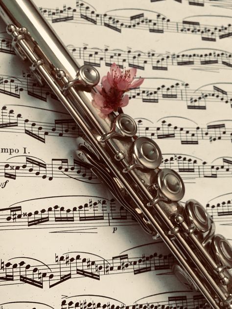 Flute Music Aesthetic, Flute Aesthetic Wallpaper, Flauta Aesthetic, Aesthetic 1800s, Regency Mansion, Vanity Coquette, Flute Aesthetic, Fields Aesthetic, The Viscount Who Loved Me