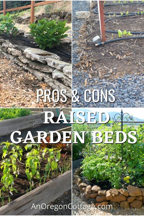 Decorative Retaining Walls, Inexpensive Raised Garden Beds, Oregon Cottage, Raised Garden Bed Ideas, Garden Bed Ideas, Broken Concrete, Hardware Cloth, Pressure Treated Wood, Bed Ideas