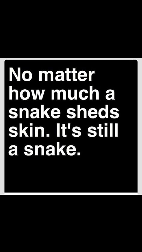 Yep....your a nasty, ugly snake. You think you can talk shit about my family and i wouldnt find out...ha.... dumb bitch you will get whats coming. You should worry about yourself and your many failed relationships before you try to talk shit about whats going on with other people. Hypocracy Quotes, People That Talk About You, Karma Bus, Snake Quotes, Fake Friend Quotes, Fake People Quotes, Quotes Short, Fake People, Fake Friends