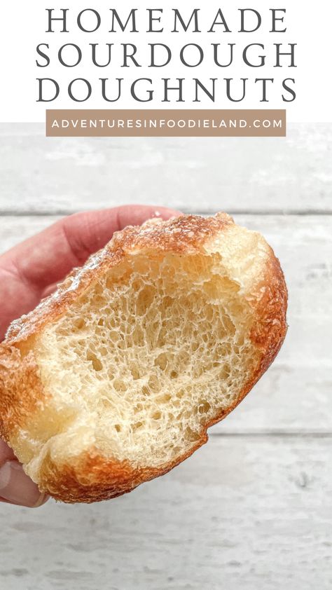 Sourdough Donuts Fried, Sourdough Doughnut Holes, Sourdough Discard Doughnut Recipe, Sourdough Donut Holes, Sourdough Doughnut Recipe, Sourdough Donut, Sourdough Donut Recipe, Doughnut Holes, Starter Recipe